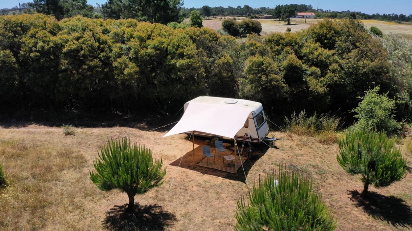 ホテル Cosy Nest In Animal Rescue Monte Dos Vagabundos São Teotónio エクステリア 写真